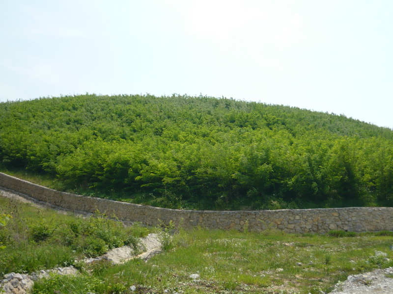 Halda Hotar Ecologizare